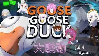 【國語vtuber新人】goose goose duck