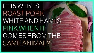 How things work  ELI5 Why is roast pork white and ham is pink when it comes from the same animal?