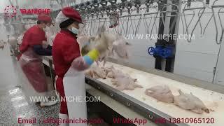 Chicken slaughterhouse 13500BHP processing line manual evisceration area