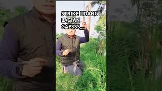 Strike lagi Gaesss #mancing #mancingmaniamantap #banyakstrike