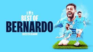 BEST OF BERNARDO SILVA 2223  Fantastic goals and assists