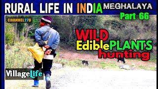 Rural Life in India MEGHALAYA Part 66   wild edible plants of India  Channel27u  VILLAGE LIFE 