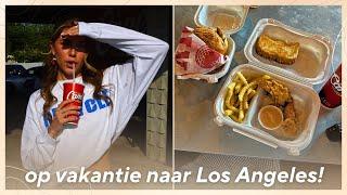 ZONDER KLEDING IN LA & HIER WILDE IK ALTIJD AL HEEN…  weekvlog 18 ࿎ Jade Anna