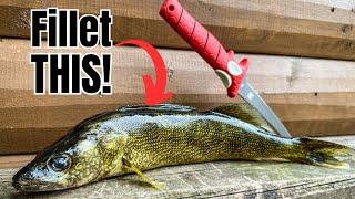 How to Fillet ANY Fish SIMPLEST Method for BEGINNERS