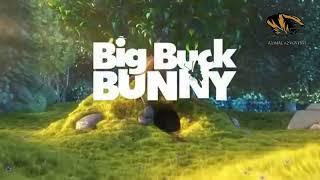 Funny Fat Animals   Animated Short Films   Animals Adventure