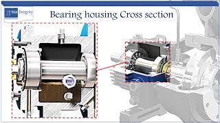 Pump bearing housing lubrication
