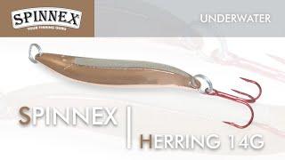 Spinnex  Herring 14g - Underwater Lure Action
