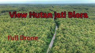 View Drone Luasnya Hutan Jati Blora