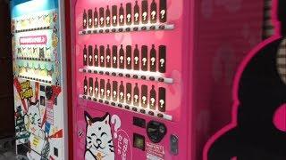 Crazy Japanese 10 cent mystery vending machines  Osaka Japan 大阪 10円自販機