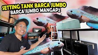 UPDATE BARCA JUMBO MANGAP2? SETTING TANK CHANNA BARCA JUMBO BOS BOS QU