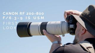 Canon RF 200-800 f6.3-9 First Look
