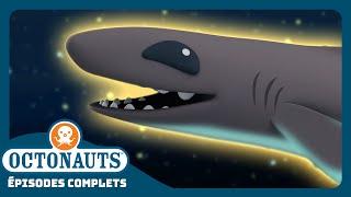 Octonauts - Le requin-lanterne nain   Saison 1  Épisodes complets