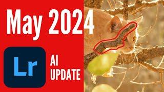 May 2024 Lightroom Update Generative AI Remove Tool is AWESOME