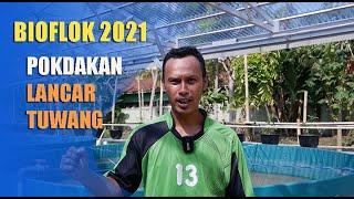 Bioflok Pokdakan Lancar Tuwang Kab. Demak 2021