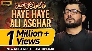 Haye Haye Ali Asghar as  हाय हाय अली असगर  Mir Hasan Mir Nohay 2021  New Nohay 2021