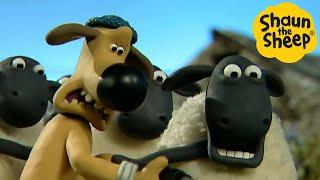 Shaun the Sheep  Sheep Drama - Cartoons for Kids  Full Episodes Compilation 1 hour