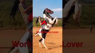 Indian village girl horse riding. #horse #horsegirl #horseriding #horseride #horselover #horseracing