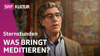 Richard Davidson & Theodore Zeldin über den Meditations-Boom  Sternstunde Philosophie  SRF Kultur