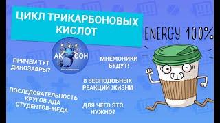 Цикл трикарбоновых кислот. Цикл Кребса