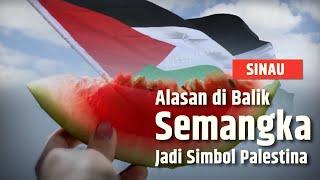 Ini Asal-usul Semangka Jadi Simbol Solidaritas Dukungan untuk Palestina  SINAU