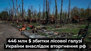446 млн $ збитки лісової галузі України внаслідок вторгнення рф.