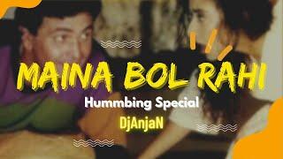 Maina Bol Rahi  Hummbing Mix Sitola Puja Special  DjAnjaN