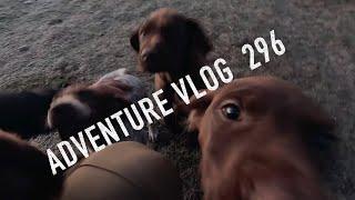 Josh James New Zealand Adventure VLOG #296 Tuna hunting mucking around 4WD and Tahr Hunt aftermath