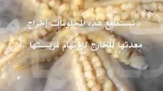 النـَجميّـاتُ  starfish   Asteroidea .flv