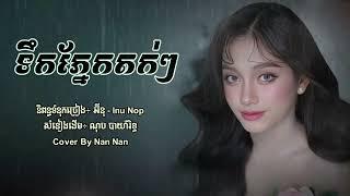 ទឹកភ្នែកស្រក់តក់ៗ - Nan Nan cover  Lyric Audio