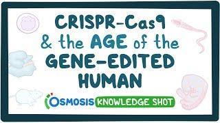 CRISPR-Cas9 and the age of gene-edited humans