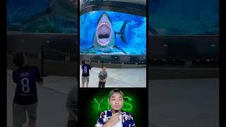 MEGALODON BOHONGAN  Susilo ok #shorts