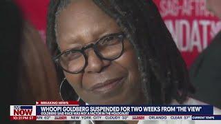 Whoopi Goldberg suspended over Holocaust remarks on The View  LiveNOW from FOX