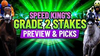 Grade 2 Triple Bend Stakes Preview & Picks  Santa Anita Park 8th Race Saturday 5272023