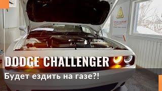 Обзор гбо на Dodge Challenger 3.6 с распределенным впрыском. Расход бензина и газа. Цена комплекта.