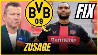 JETZT BESTÄTIGT LEVERKUSEN-VERTEIDIGER WECHSELT ZU DORTMUND BORUSSIA DORTMUND NEUIGKEITEN