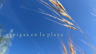 ESPIGAS EN LA PLAYA  El Portil Caño de la Culata  Microdocumental - videoclip musical 4K