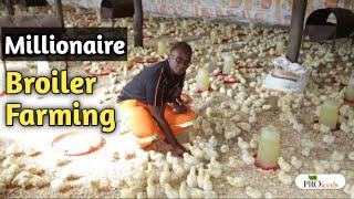 Broiler Chicken Farming Made Easy Cheap and Profitable