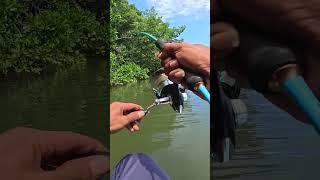 Pancing Akan Di Sambar  #mancingikan #mancingsungai #fishingvideo2024