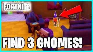 Find Gnomes At Homely Hills Week 1 Challenge