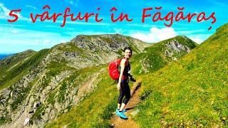 Muntii Fagaras - Traseu circuit Transfagarasan - Paltinu - Laitel - Negoiu - Lespezi - Caltun