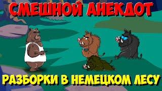 Humor. How the Bear ran into Kabanov. Jokes