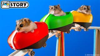 Hamsters on the Worlds Largest Roller Coaster in the Amusement Park Maze  Homura Ham Pets