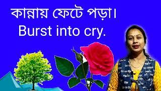 ছোট ছোট বাক্য স্পোকেন ইংলিশ। বাড়িতে প্র্যাকটিস কর এই ধরনের ছোট ছোট বাচ্চ।