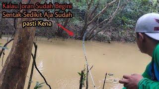 Mancing Ikan Baung Babon TerganasEdan lemparan Ke Tiga Langsung Yuttt..gak pake Rem...lozz doll