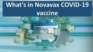 Novavax COVID19 vaccine ingredients  scitechtrends