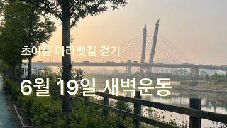 #아라뱃길 #초여름새벽운동 ㅣ#새벽걷기운동 2024.06.19걷기운동하기 #아라뱃길야생화단지 #걷기운동