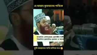 হে কুরআনের পাখি আল্লামা সাঈদীকে তুমি জান্নাতের পাখি বানিয়ে নাও 