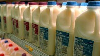 Whole milk may have surprising benefits study says