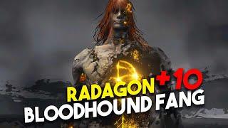 Radagon Hitless +10 Bloodhound Fang