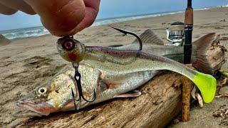 Pesca de RÓBALOS en la PLAYA  COMO PESCAR róbalos  pesca de ORILLA.